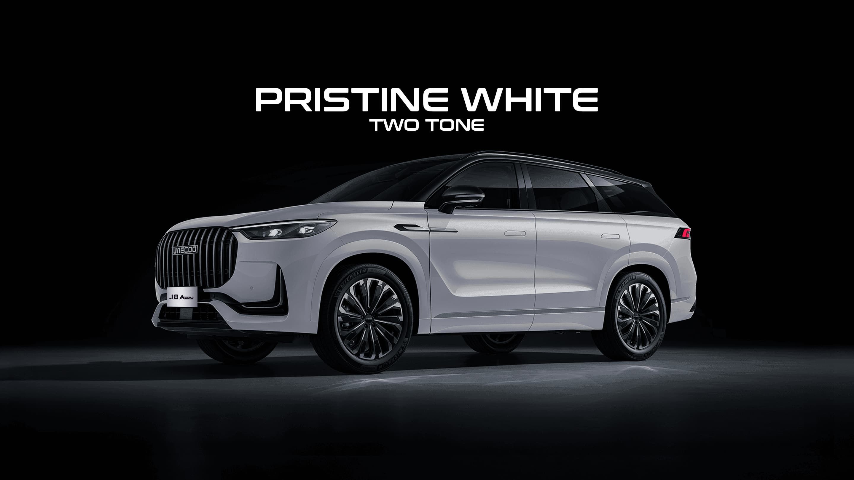 J8 ARDIS — Pristine White Two Tone
