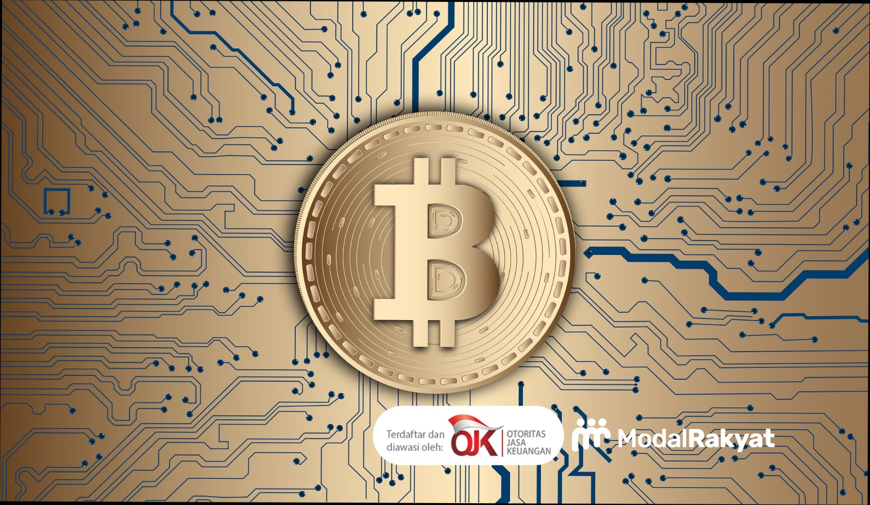 Ingin Terhindar dari Kerugian? Begini Cara Bitcoin untuk Pemula