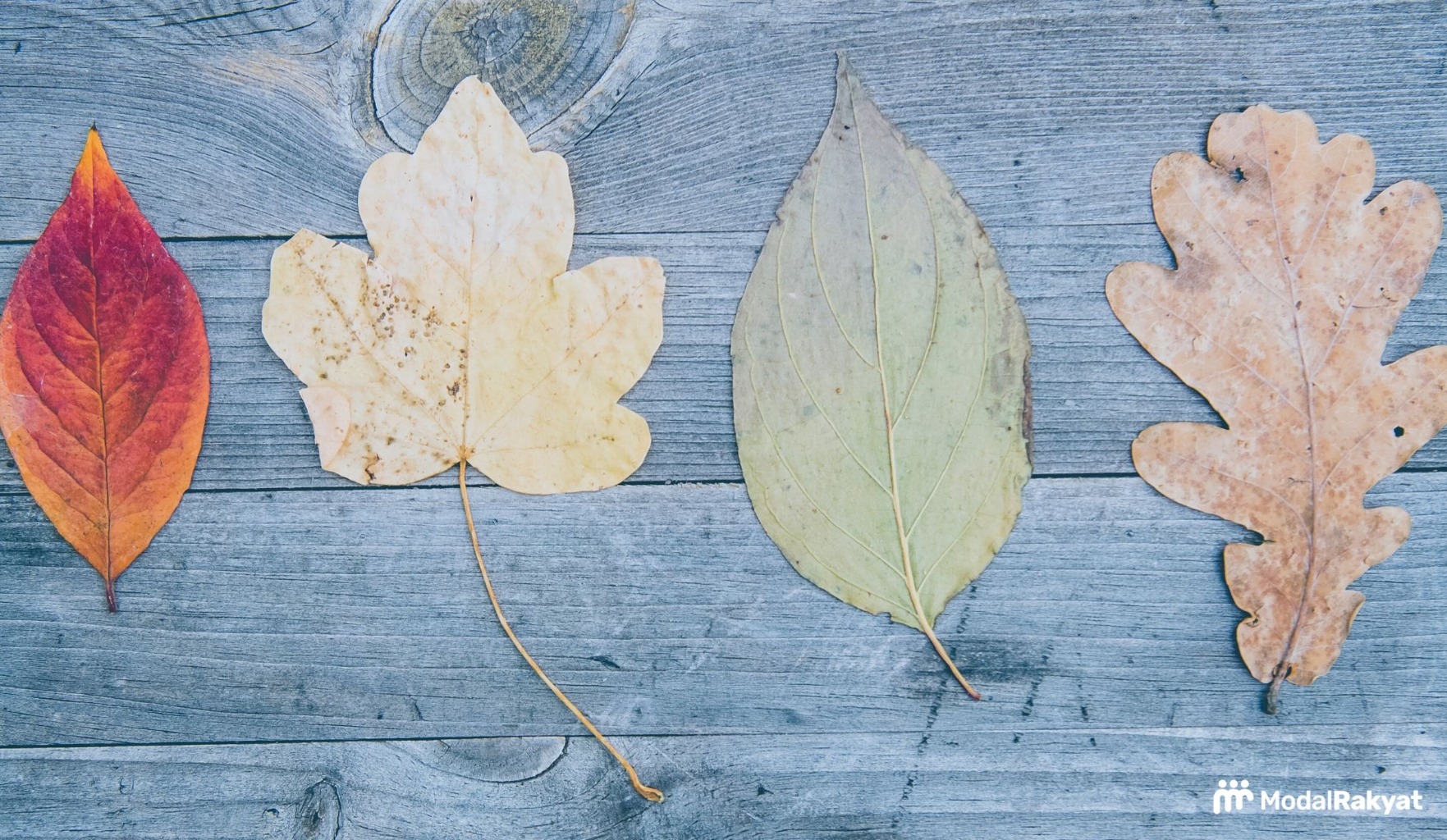 Mengenal Strategi Diversifikasi dan Cara Melakukannya Mengenal Strategi Diversifikasi dan Cara Melakukannya