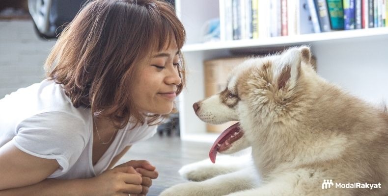 6 Pilihan Karier yang Tepat untuk Si Pecinta Hewan 6 Pilihan Karier yang Tepat untuk Si Pecinta Hewan