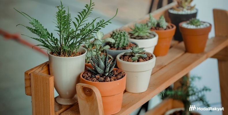 Passive Income Menjanjikan di Bidang Pertanian Passive Income Menjanjikan di Bidang Pertanian