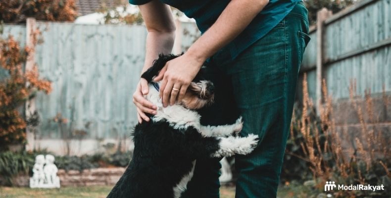 4 Peluang Usaha untuk Pecinta Binatang 4 Peluang Usaha untuk Pecinta Binatang