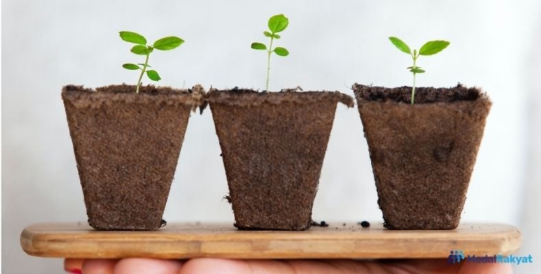 Growth Mindset: Pengertian, Ciri-Ciri, dan Kelebihannya