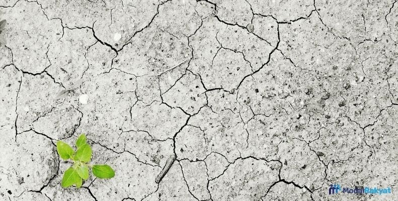 Memahami Scarcity atau Kelangkaan dan Faktor Penyebabnya