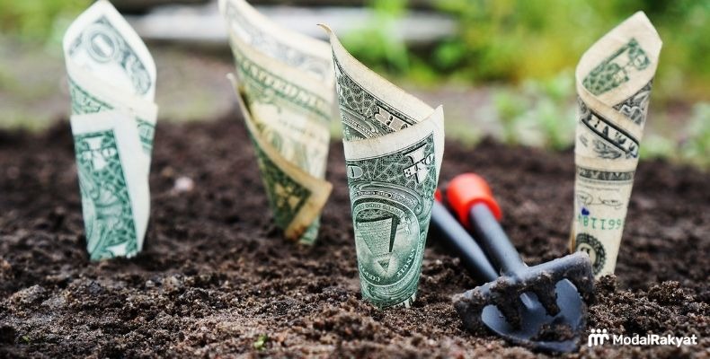 Compound Interest adalah Keuntungan Investasi, ini Rumusnya Compound Interest adalah Keuntungan Investasi, ini Rumusnya