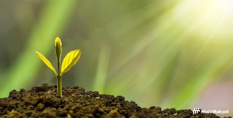 Apa itu Profit dalam Bisnis dan Cara untuk Meningkatkannya Apa itu Profit dalam Bisnis dan Cara untuk Meningkatkannya