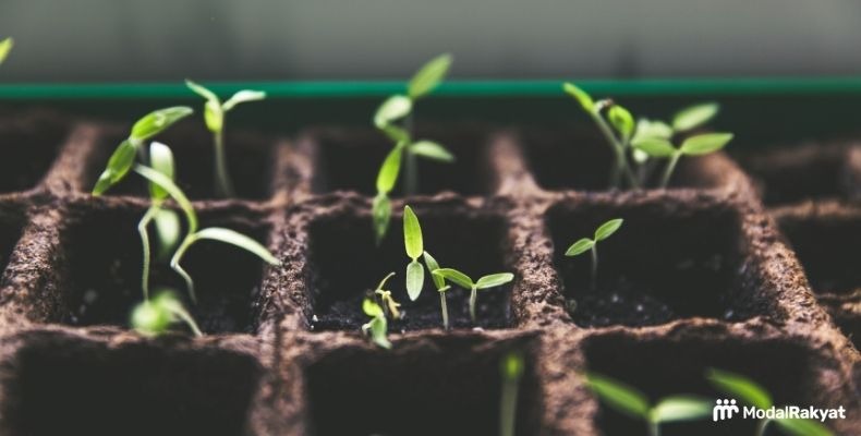 Internal Rate of Return (IRR) adalah: Rumus dan Contohnya Internal Rate of Return (IRR) adalah: Rumus dan Contohnya