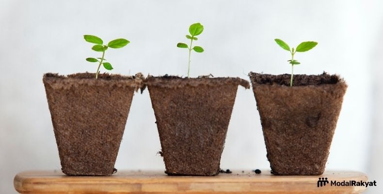 Sudah Tahu Pentingnya Berinvestasi? Begini Tipsnya