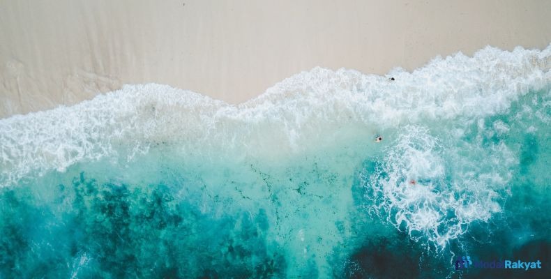 Strategi Blue Ocean: Pengertian dan Bedanya dengan Red Ocean Strategi Blue Ocean: Pengertian dan Bedanya dengan Red Ocean