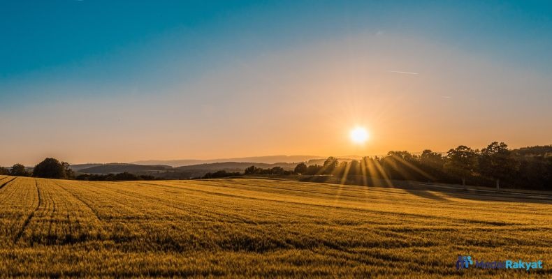 Cara Investasi Tanah, Kelebihan, dan Kekurangannya Cara Investasi Tanah, Kelebihan, dan Kekurangannya