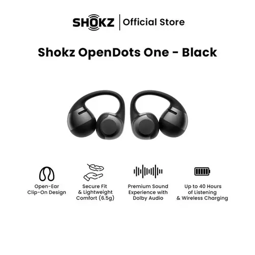 SHOKZ PERSONAL EARPHONE E310 OPENDOTS ONE SERIES