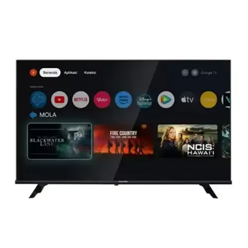 POLYTRON 43 INCH FULL HD SMART GOOGLE TV PLD43RG5059