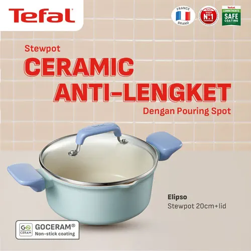 TEFAL ELIPSO PANCI KALDU STEWPOT 20CM + LID G6204496
