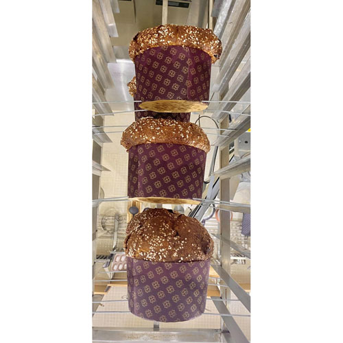 Panettone with Pasta Madre