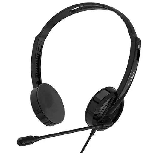 RAPOO MULTIMEDIA HEADPHONE H101