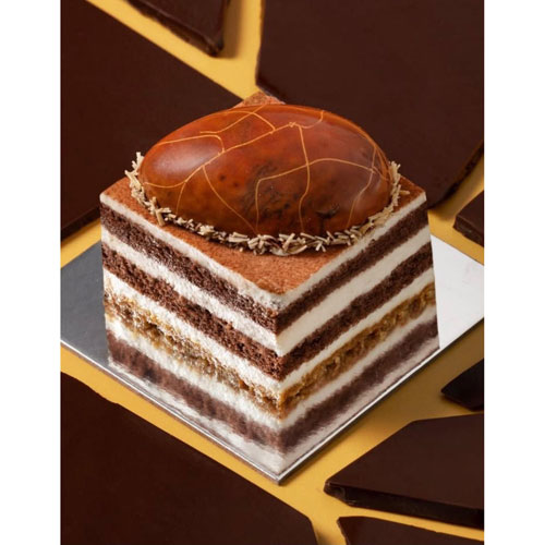 Macadamia Tiramisu