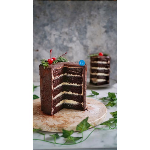 Chocolate Tree Stump Cake