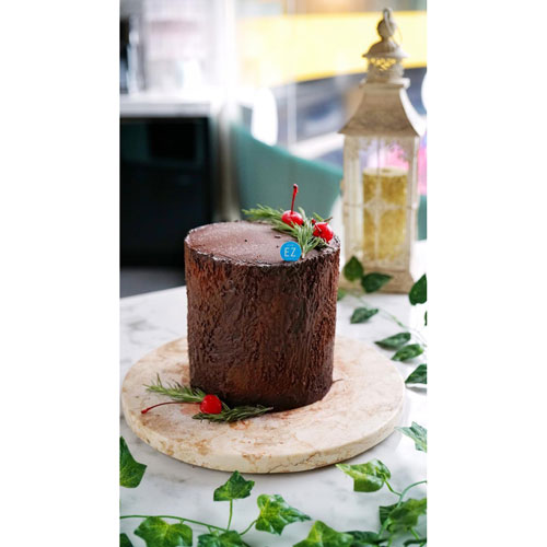 Chocolate Tree Stump Cake