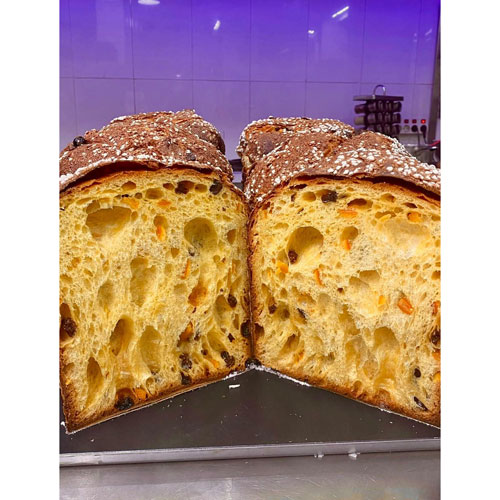 Panettone ( Livieto Madre)