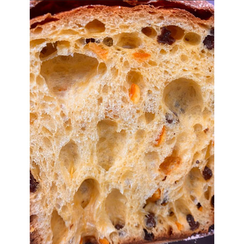 Panettone ( Livieto Madre)