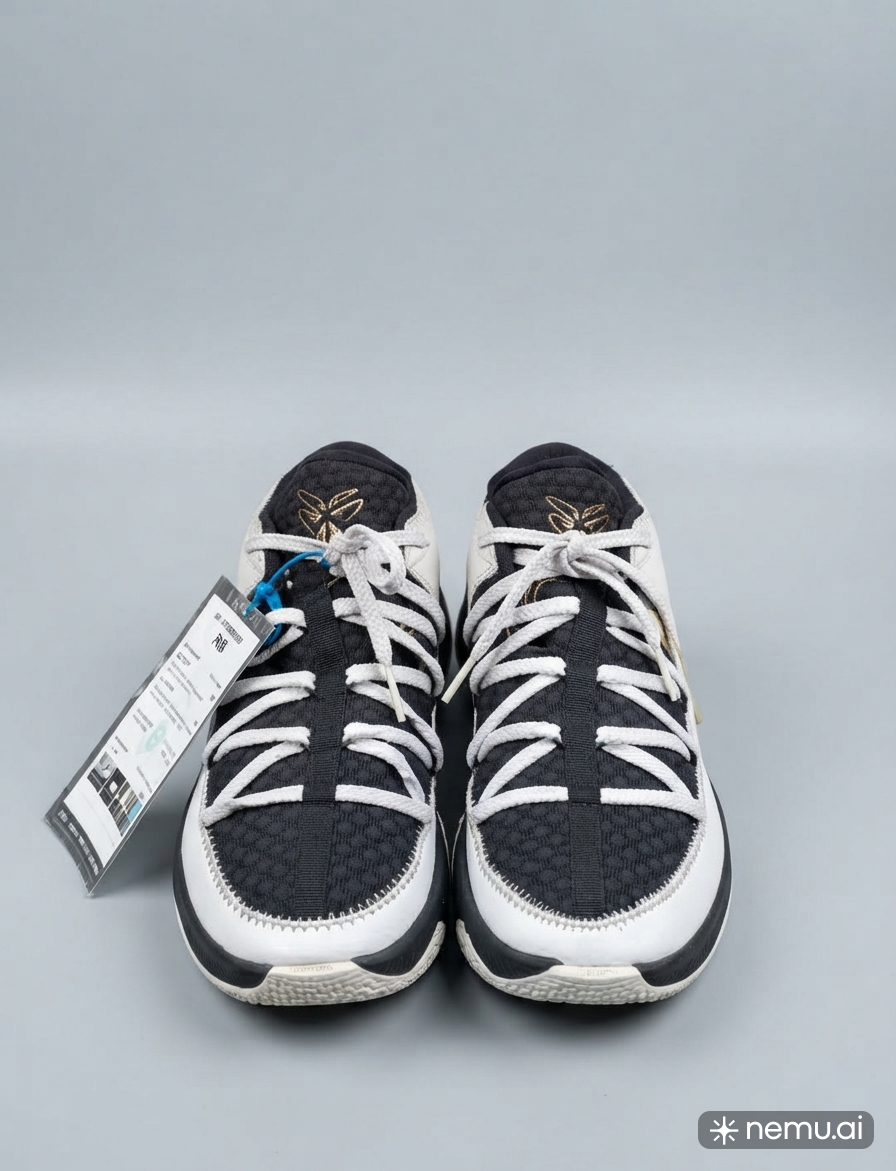 Nike lebron