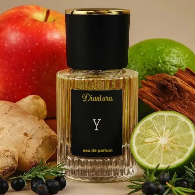 Diantara - Y edp