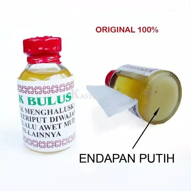 Minyak Bulus Asli Kalimantan pembesar Payudara menghalus kan kulit