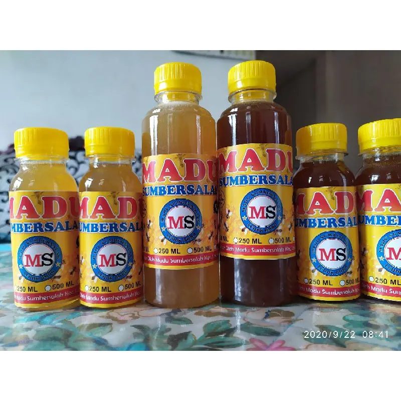 Madu Apis Dorsata