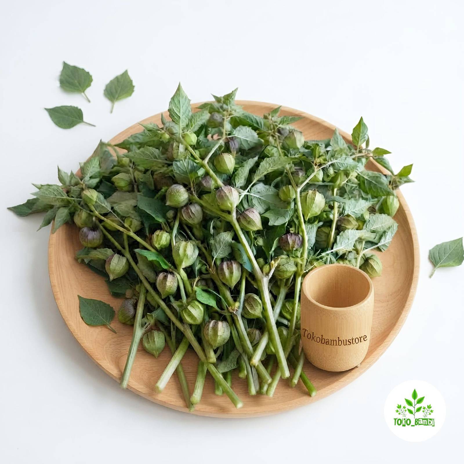 Daun Ciplukan segar 250 gram