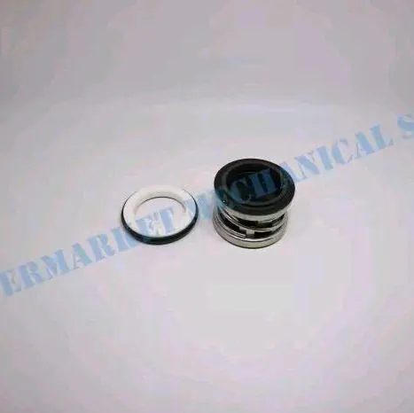 Mechanical Seal 100x80 fsjca