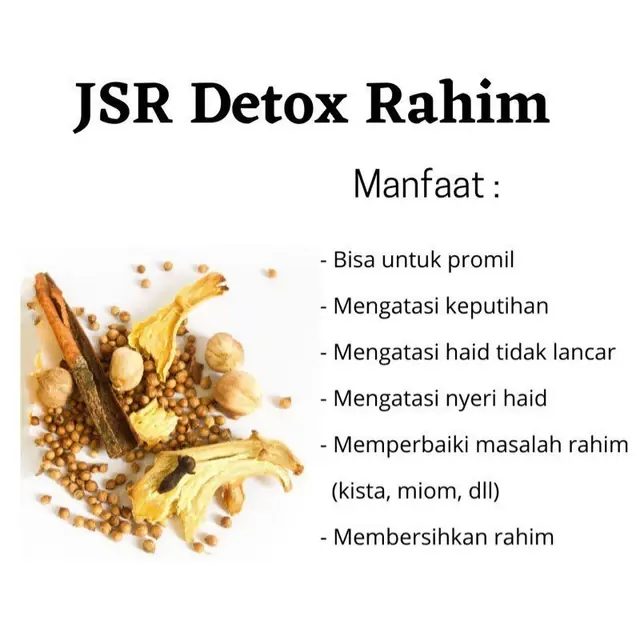 Detox Rahim ALA Zaidul Akbar JSR DAN Promil Ukuran Besar 10GRAM Rempah² +sereh isi 10pcs