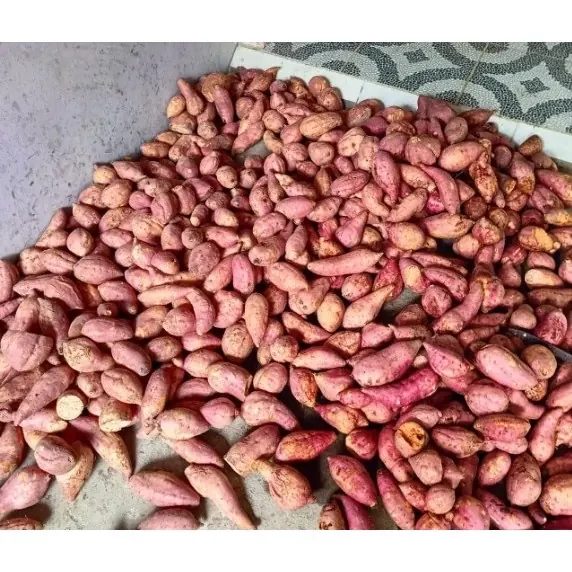 1 Kg Ubi Orange Mentah / Jalar Varian / Boled Warna