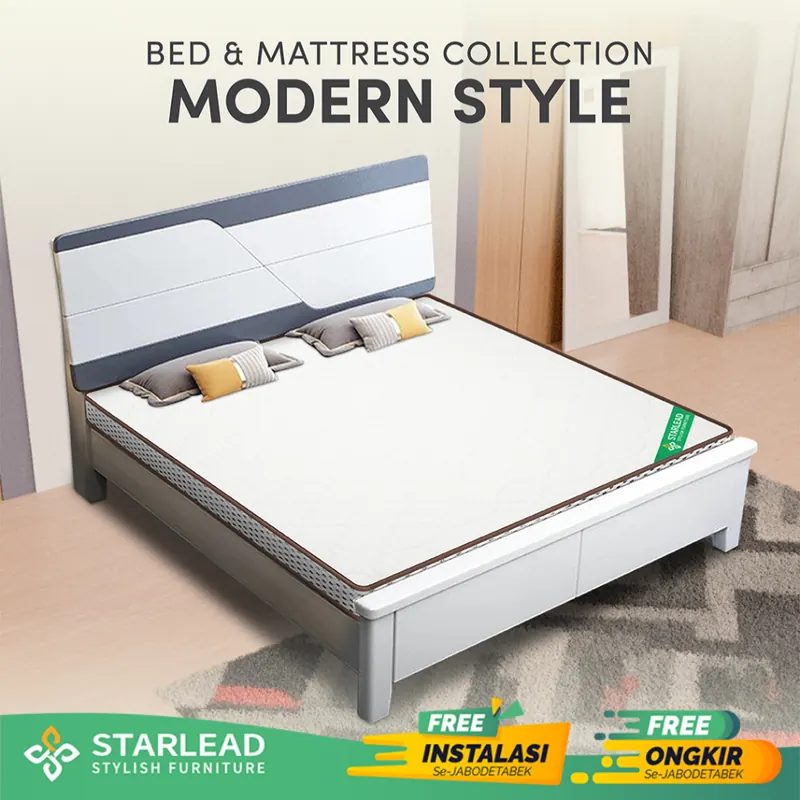 STARLEAD Ranjang Dipan Tempat Tidur - Modern Style