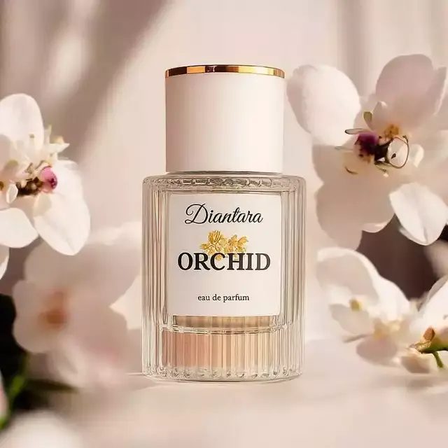 Diantara - Orchid