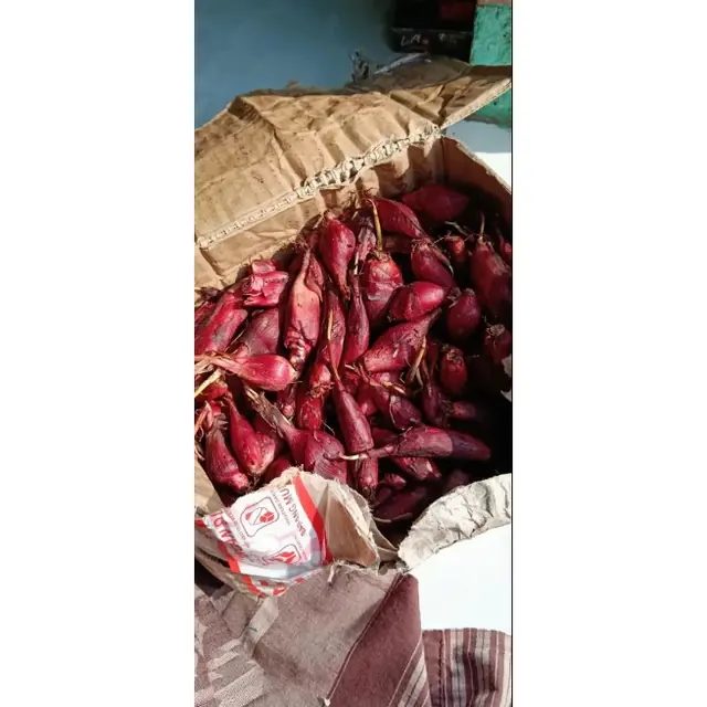 100 gram Bawang Dayak / Lemba / Sabrang segar