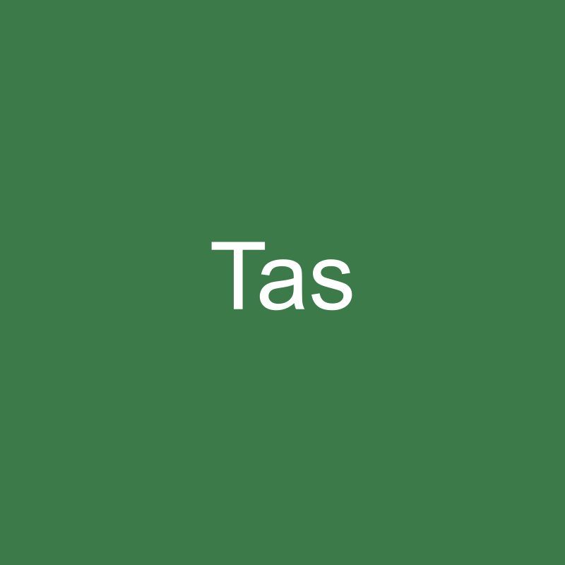 Tas Kanvas Hijau