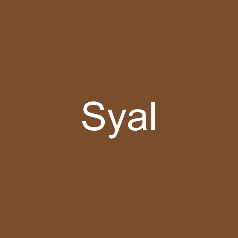 Syal Batik Cokelat