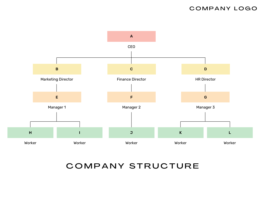 Company Structure